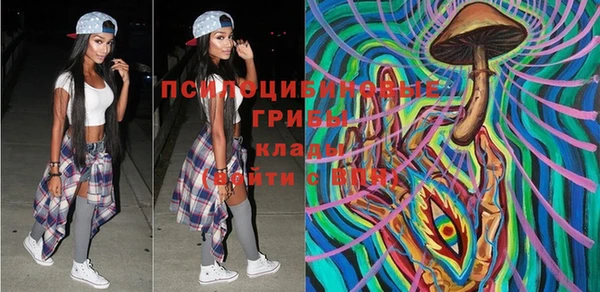 дурь Абаза