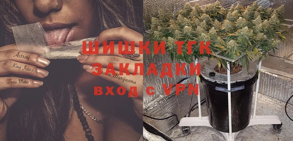 бошки Семилуки