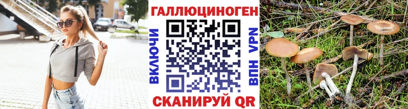 дарк нет какой сайт  Зарайск  Псилоцибиновые грибы Cubensis 